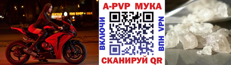 А ПВП крисы CK  как найти   Гвардейск 